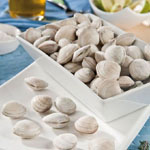 almeja-juliana-basic